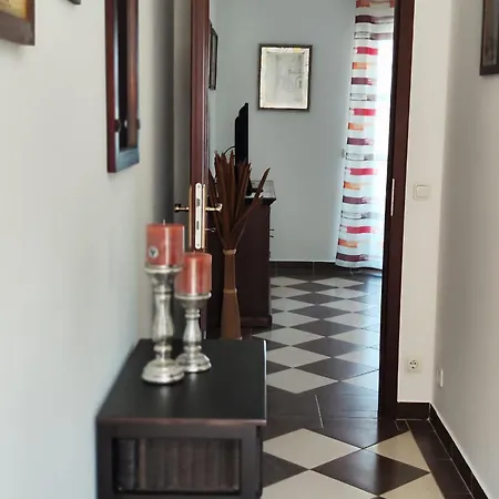 Apartment Roko